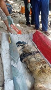 Mayat Wanita Tanpa Identitas Ditemukan Membusuk Di Pulau Berhala