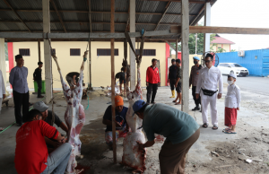 Peringati Hari Raya Idul Adha 1443 H, Polresta Deli Serdang Laksanakan Penyembelihan Hewan Kurban