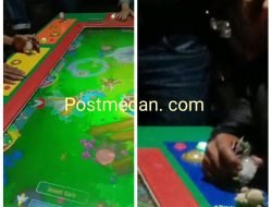 Masyarakat Meminta Kapolda Sumut dan Kapolres Deliserdang Mengkroscek  Kinerja Kapolsek dan Kanit biru- biru Diduga menerima suap, Setelah 3 Hari Tutup Perjudian kembali lagi Beroprasi di Biru- Biru