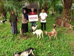 PT Prima Agro Aceh Lestari Salurkan CSR Kepada Masyarakat Kurang Mampu