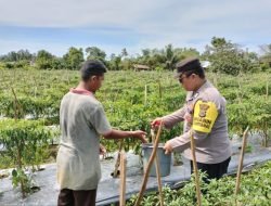 Bhabinkamtibmas Polsek Meureubo membantu warga dalam bidang ketahanan pangan di Desa binaannya