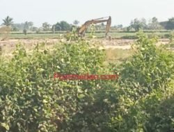 Mafia Tanah Maling Uang Negara, !! Diduga Banyaknya Aset Berupa Lahan Kosong Milik PTPN-2 Berubah Pungsi Tambang Ilegal