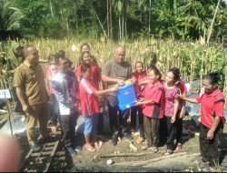 PANEN JAGUNG KELOMPOK TANI WANITA BERJUANG DESA LUKHULASE KECAMATAN LAHEWA TIMUR DI HADIRI BUPATI NIAS UTARA
