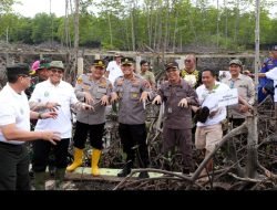 Polda Sumut dan Pemprov Tanam 10 Ribu Pohon Mangrove di Pesisir Langkat