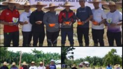 Dukung Program Ketahanan Pangan Presiden dan Menteri, Lapas Narkotika Langkat Manfaatkan Lahan Sebagai Area Pertanian