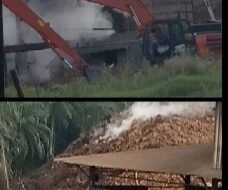 Diduga Limbah jangkos mencemari pemukiman Warga dan Membuat penyakit desa warga pulo Dogom