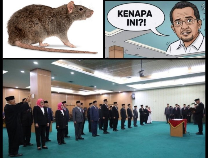 NCW Soroti Dugaan Nepotisme, Gratifikasi, dan Konflik Kepentingan dalam Mutasi Eselon II Pemkot Bekasi