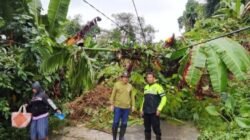 Akibat Curah Hujan yang Sangat Deras Jalan Hilimbosi Awaai Kabupaten Nias Utara LONGSOR dan BANJIR